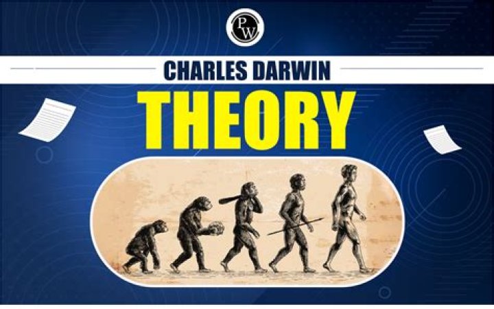 Signals, Part 2 by Dawin from USA