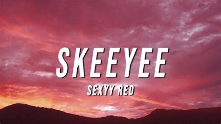 Skeeyee's Earnings and Net Worth (by Sexyy Red ) 