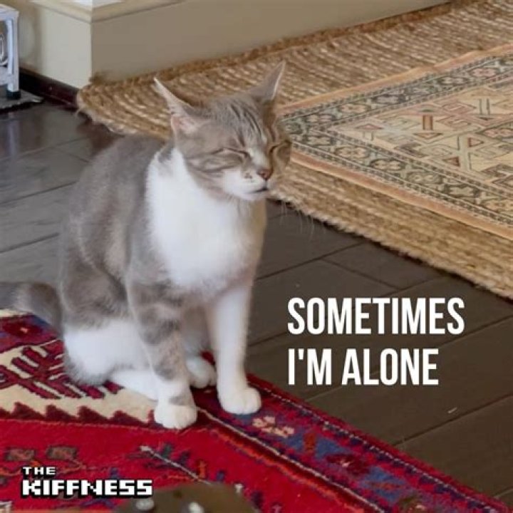 Sometimes I'm Alone 