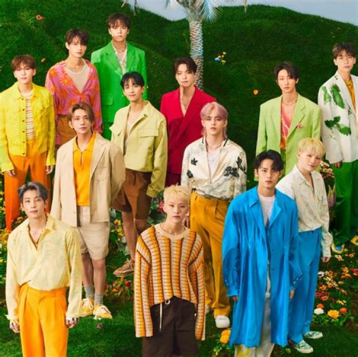 Son Ogong by Seventeen from South Korea