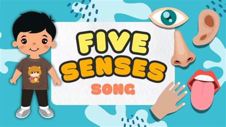 Songs About 5 Senses | Popnable