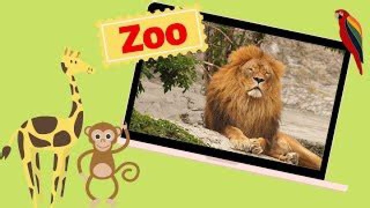 Songs About Zoo Animals | Popnable