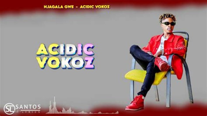 Songs (Non-official Music Videos) released by Acidic Vokoz from Uganda