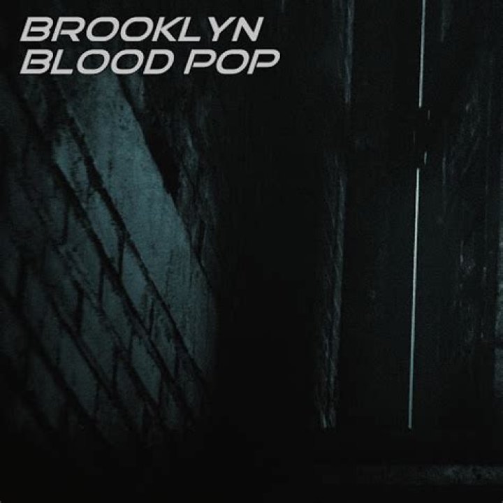 Songs Similar To Brooklyn Blood Pop