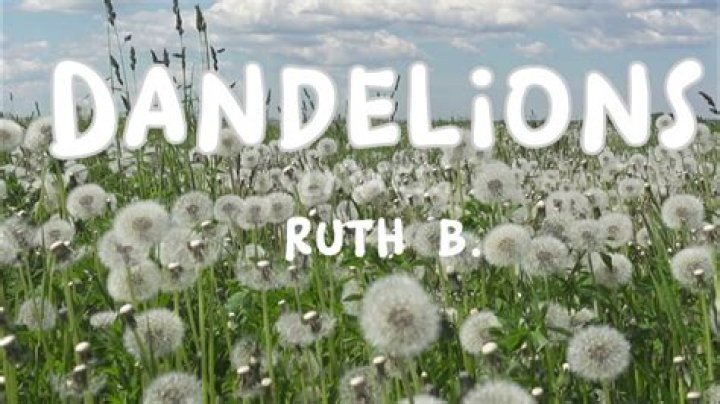 Songs Similar To Dandelions Ruth B