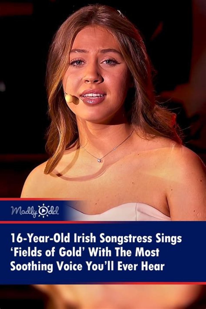 The Most Famous Irish Singers In 2023