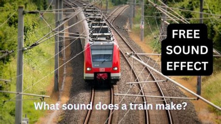 Train Net Worth - How Much Does Train Make?