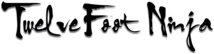 Twelve Foot Ninja's Net Worth And Earnings In 2024