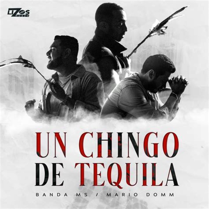Un Chingo De Tequila by Banda Ms De Sergio Lizárraga from Mexico