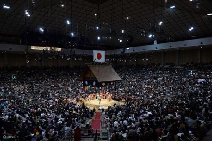 Vono Montana's Activities' | Popnable