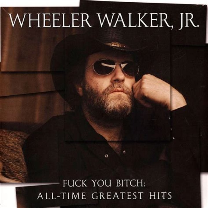 Who The Fuck? by Wheeler Walker Jr from USA
