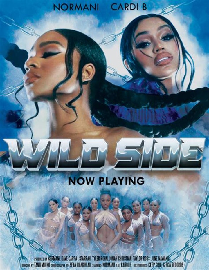 Wild Side by Cardi B & Normani from USA