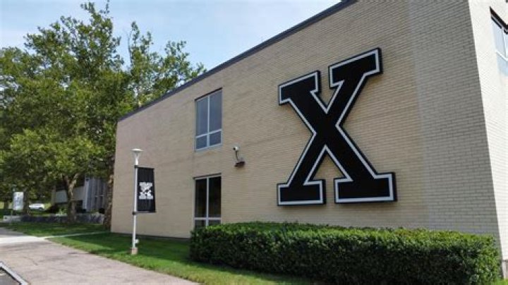 Xavier Weeks Net Worth - How Much Does Xavier Weeks Make?